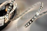 012341_3-led-ted