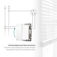vyklyuchatel-dvukhklavishnyy-s-samovozvratom-belyy-w1122401-a062572_0002