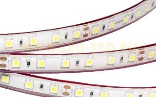 lenta_belaya_rtw_2_5000pgs_24v_white_2x_5060_300_led_lux_013584