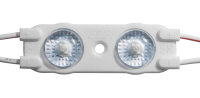 VIVO2019_II