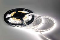 lenta_belaya_ic2_5000_24v_white_6000_4xh_5630_600_led_lux_019684