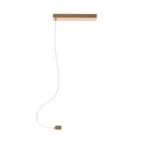 981FD20A73E29B45BBBE04FCBDB93264