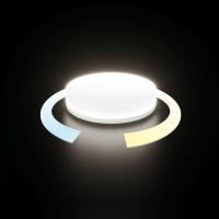 umnaya-svetodiodnaya-lampa-blgx5316-a061026-0001