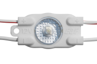 VIVO2019_I