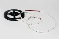 12013571_3-led-ted