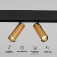 slim-magnetic-umnyy-trekovyy-povorotnyy-svetilnik-14w-2700-6500k-dim-dual-latun-85056-01-a063527-0001