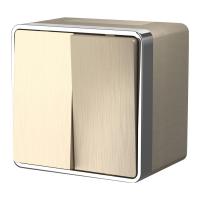 vyklyuchatel-dvukhklavishnyy-vlagozashchishchennyy-gallant-shampan-riflenyy-wl15-03-02-a041422_0001