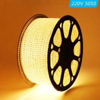 AC220V-SMD5050