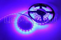 lenta_sinyaya_rt_2_5000_12v_blue_3528_300_led_lux_010523