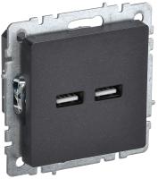 BR-U21-D31-K02