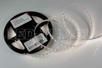 lenta_dnevnaya_rt_2_5000_24v_day_4000_2835_80_led_m_lux_024512