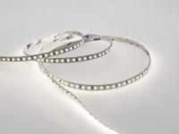 DSC04370-kholodnyy-svet