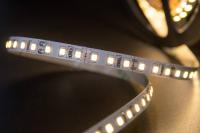 175fe5ba64553852e8a3547b56efd2b0