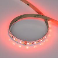 056879_photo-main_79