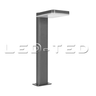 029969_led_ted