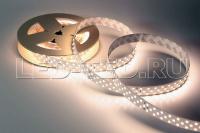 lenta_rt_2_5000_24v_day4000_3x2_2835_1260_led_cri98_025155_1