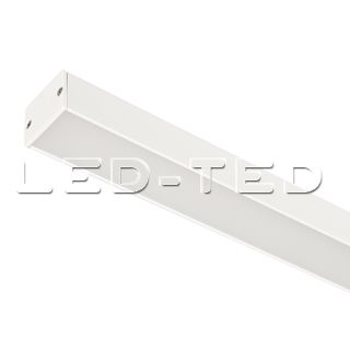 031569_led_ted