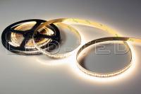 16915015_1-led-ted