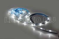 030120_1_led_ted