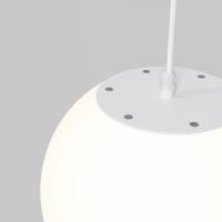 element_O594PL-01W_w_standard