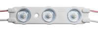 VIVO2019_III