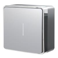 vyklyuchatel-odnoklavishnyy-s-podsvetkoy-gallant-serebryanyy-w5010106-a052766_0002