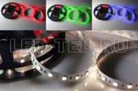 lenta_rgbwd_rt_2_5000_24v_rgbw_one_day_2x_5060_300_led_lux_019151