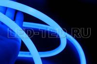C10296_1_led_ted
