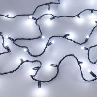 064010_image