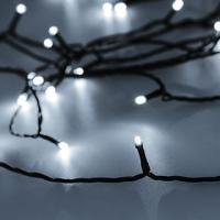 049495_image