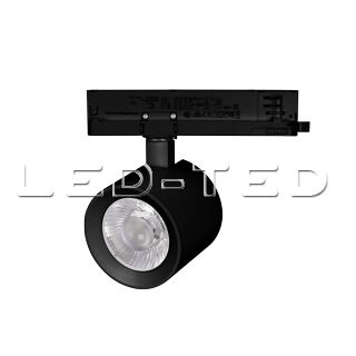031163_led_ted