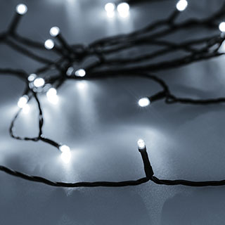 049497_image