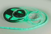 13014792_1-led-ted