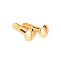 vinty-dlya-raspredelitelnoy-korobki-tv-rozetki-2-sht-zoloto-retro-wl18-22-01-a038396_0001